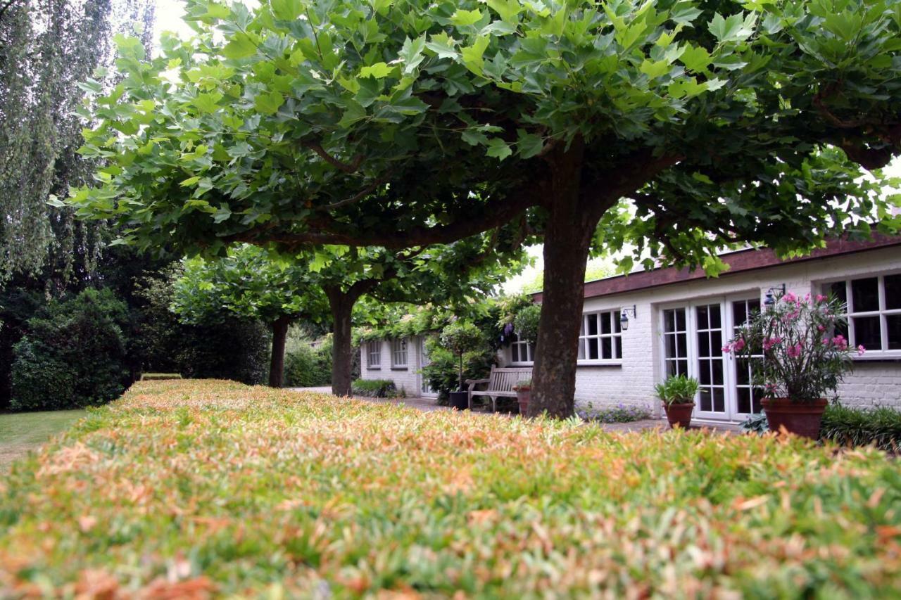 Villa Pura Vida คอร์ตไรก์ ภายนอก รูปภาพ